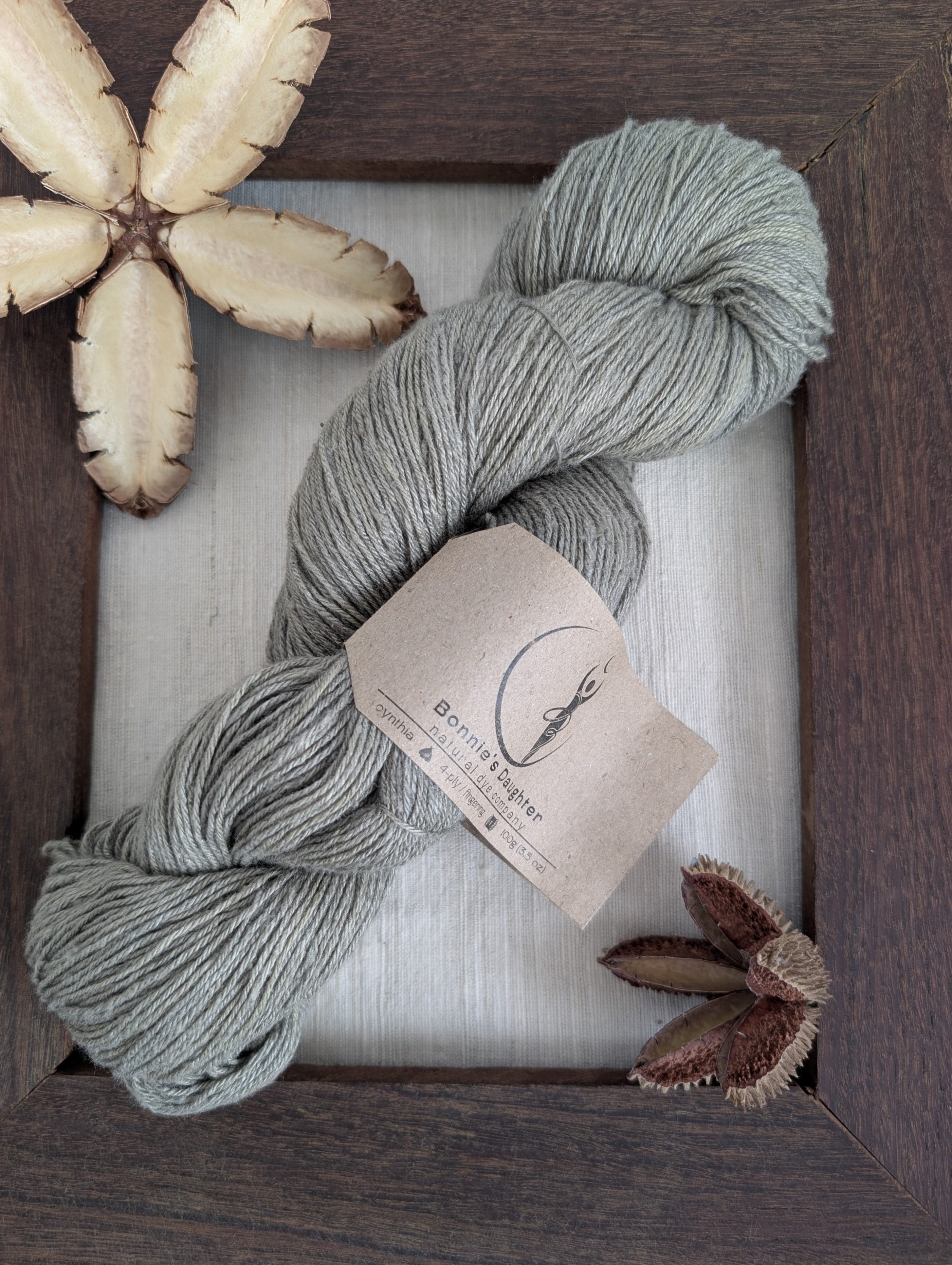 Avicennia Light