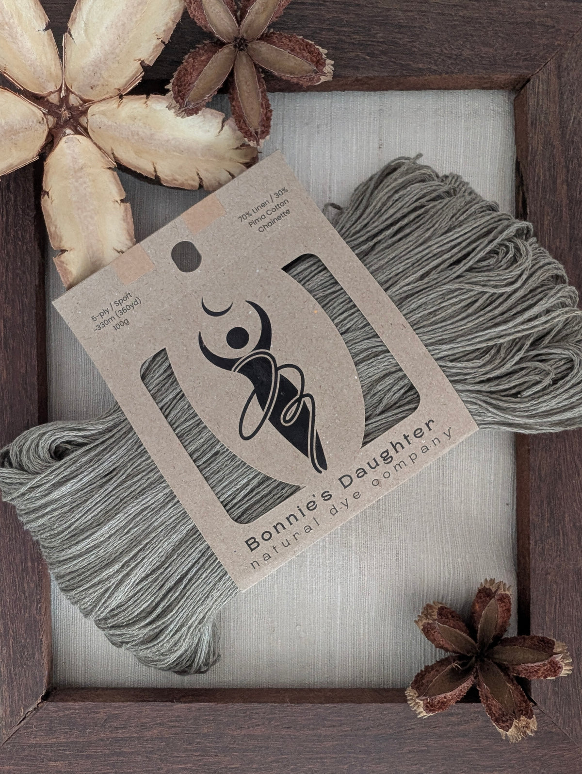 Avicennia